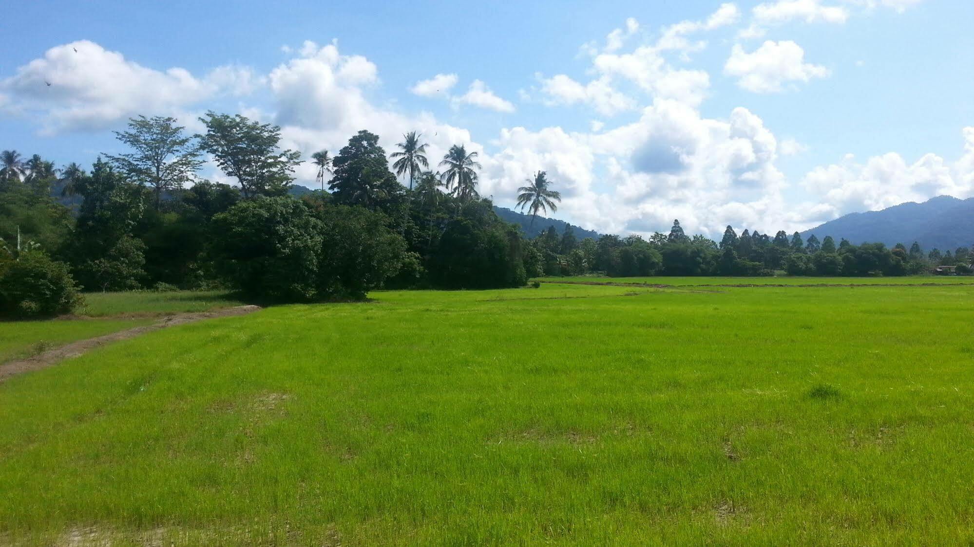 OYO 275 Senyum Inn Pantai Cenang  Exterior foto